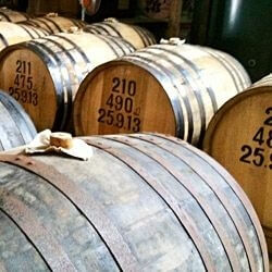 Japanischer Shochu im Onlineshop