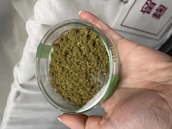 Koji, Umami and Traditional Sake Styles