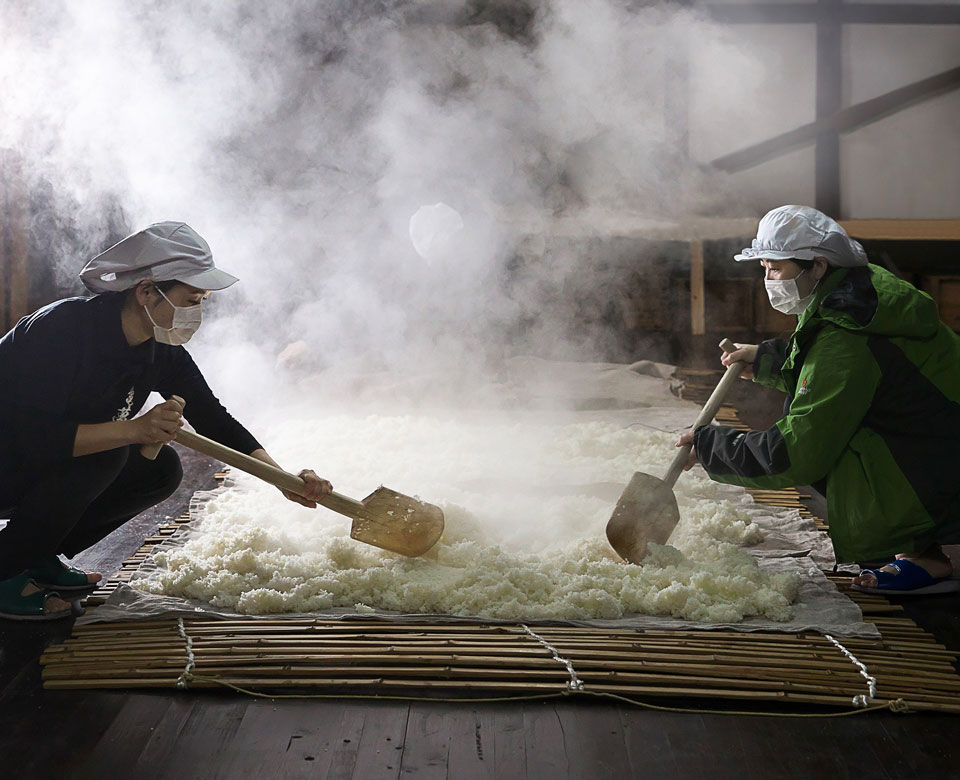 Sake Ingredients: Rice Sake Ingredients: Rice