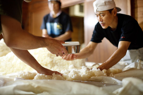 Sake Production & Ingredients
