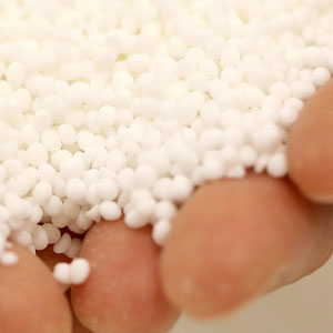 Classification of Premium Sake