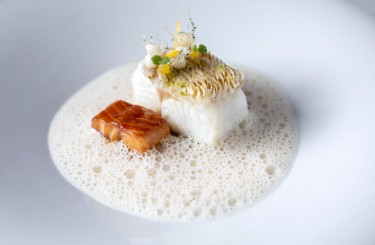 Zander Matsukasa Yaki - Zander Matsukasa Yaki, Algenbutter, BBQ-Aal, Salzzitrone
Koch: Christoph Rainer
Restaurant: Luce D'Oro