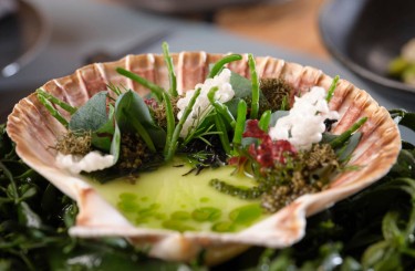 Sea Herbs / Cucumber - Sea Herbs / Cucumber / Sour Cream / Wasabi